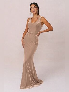 Revelry Dakota Velvet Dress Champagne Size 8